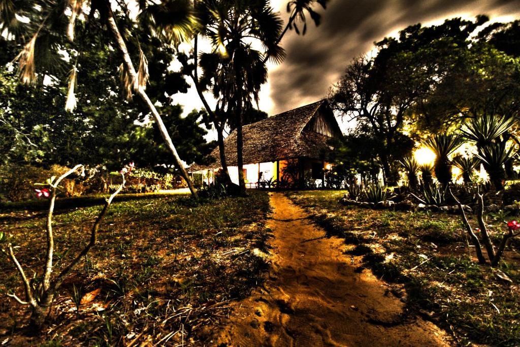 Amani Beach Resort Kutani Ngoại thất bức ảnh